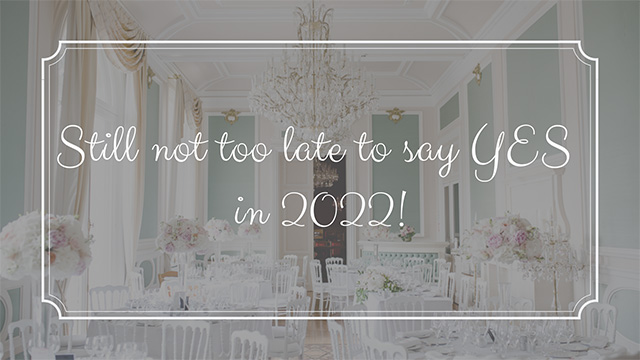 Still Not Too Late Offer