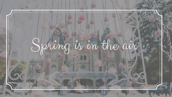 Spring is in the Air Offer